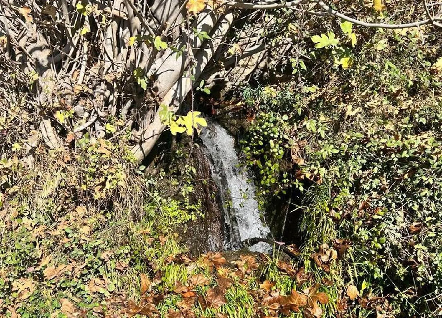 Casa Walhallacorti Jo Paramo パンパネイラ 別荘