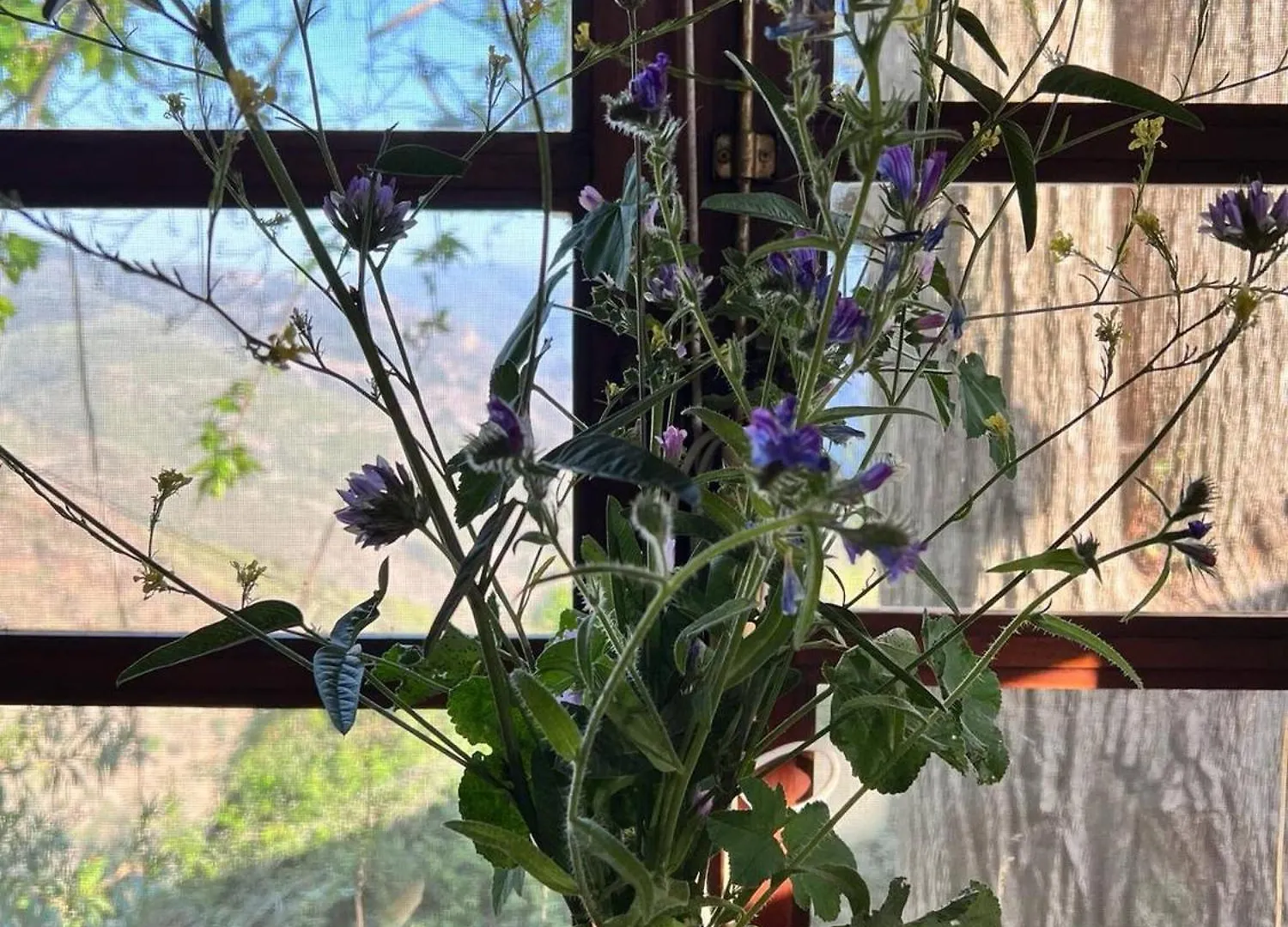 別荘 Casa Walhallacorti Jo Paramo パンパネイラ スペイン